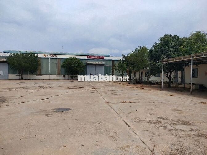 CHO THUÊ KHO BÃI 4.000m² – TRUNG TÂM TP. VŨNG TÀU 🚛