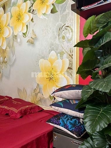 Cho thuê nhà tập thể 23 Vũ Ngọc Phan Phường Láng Hà Nội 