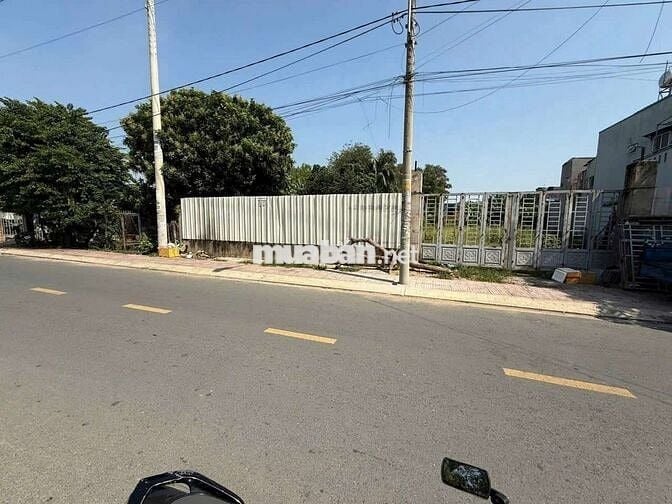 2 lô đất thổ cư mặt tiền Tân Hiệp 14-Hóc Môn.Dt 10x50~500m2~11,5ty/lô