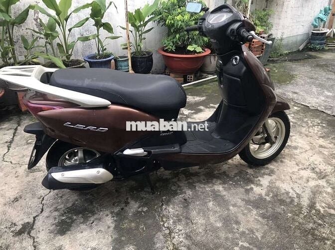 Lead110fi-2011, một chủ bstphcm