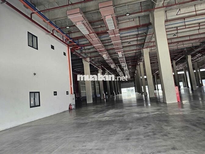 Cho thuê kho xưởng 10.000m2 – 17.000m² KCN Long Hậu, giá : 4.37 USD/m²