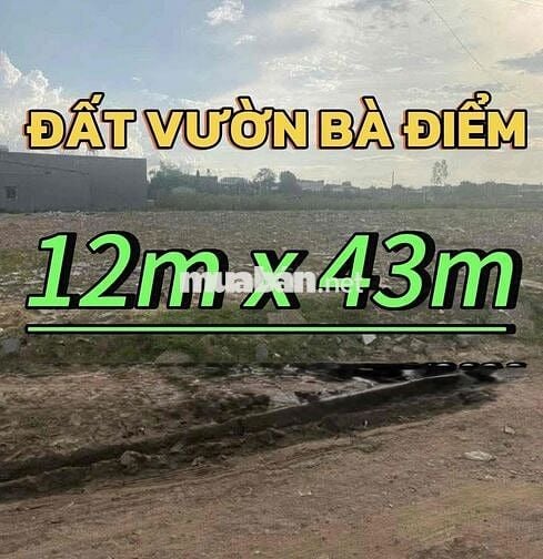 ✍️Diện tích:12 x 43m 516m², đất nông nghiệp1 sẹc Kênh T1 (Kênh Tiêu)