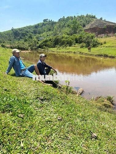Chủ cần bán 1 heta đất CLN  views sông bám suối bám đường ql14