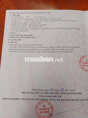 Đất cao su đang thu hoạch diện tích 1124m2 đường 6m có điện 3 pha.