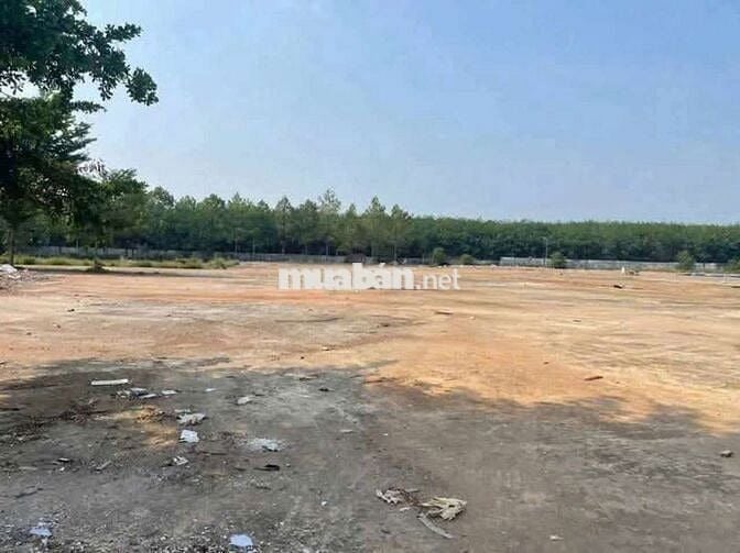 Cần bán 3.2ha đất SKC tại  Bắc Tân Uyên Bình Dương