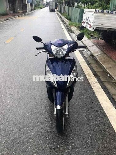 vision zin chất gấu xe như hình