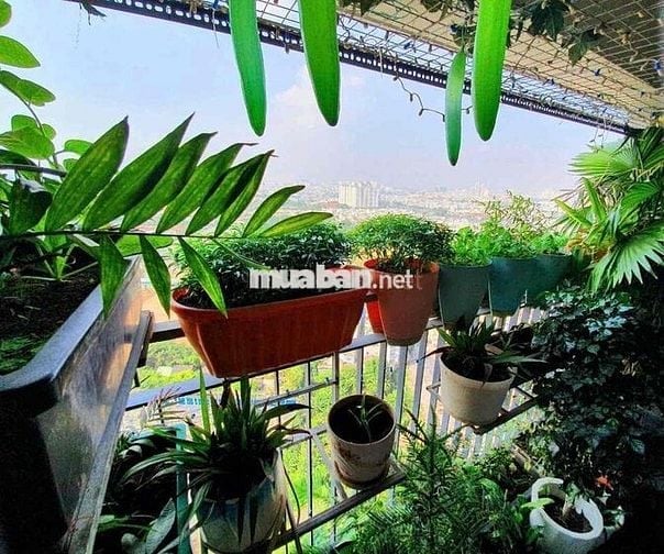 BÁN CĂN 2PN2WC ĐẸP, VIEW ĐẸP, FULL NỘI THẤT CAO CẤP, NGAY TRUNG TÂM