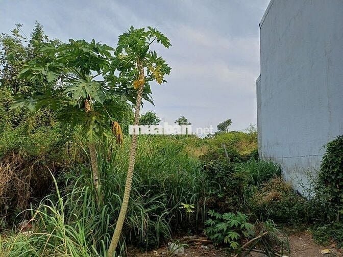 Cần bán lô đất chính chủ giá 420tr DT 68m2, phường Tân Phong, Biên Hoà