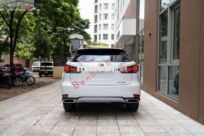 Lexus RX300 đời 2021