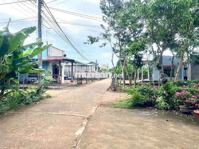 5X20 THỔ CƯ, XÃ THANH BÌNH TRẢNG BOM GẦN HƯƠNG LỘ 24