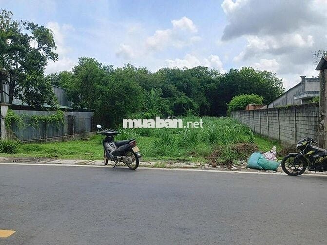Mặt tiền 10m Bán lô đất 150m2 6x25 Gía 500Triệu Sổ Hồng Riêng