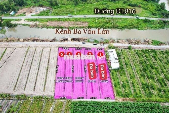 Đất vườn hai mặt tiền TL 816 và mặt tiền view kênh dt 1000m giá 1tỷ650