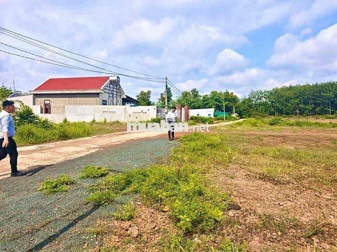 bán mảnh vương tâm quyết 450tr