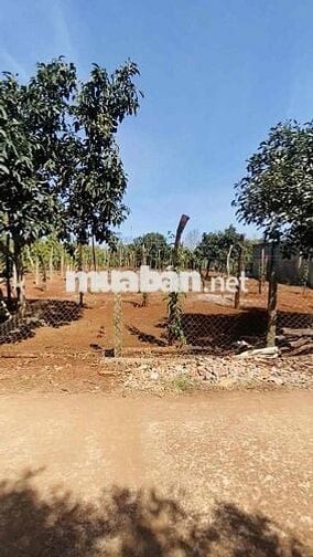Chính chủ bán đất mặt tiền Xã bình thuận, thị xã buôn hồ
