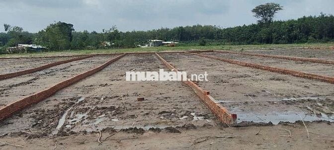 Chủ kẹt bán gấp DT240m2,giá 510tr, đối diện trường THCS Minh Thắng-DN