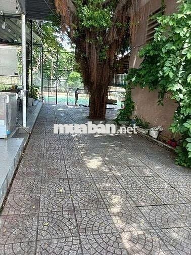 🏠 NGANG 10M GẦN VÒNG XOAY LĂNG CHA CẢ - TRỤC ĐƯỜNG ÚT TỊCH