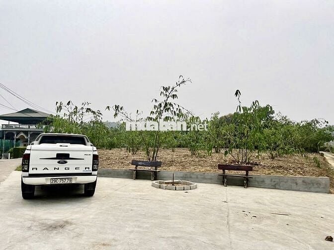 Bán đất tỉnh Phú Thọ. 1315m2. Gia đình kẹt tiền, bán rẻ hơn thị trường