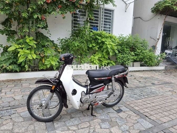 Xe  dream Hàn Quốc