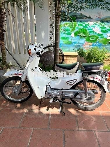 BÁN XE WARE HALIM 50cc