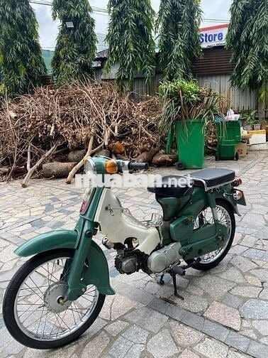 Xe Honda cup 50cc