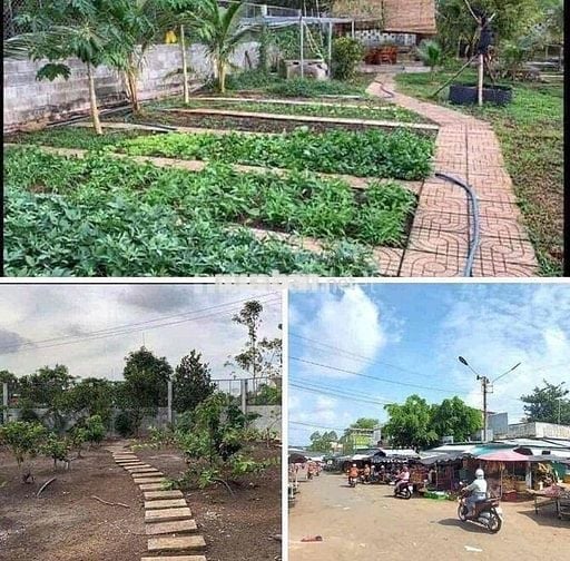Có sổ hồng, mặt đường 16m, gần chợ