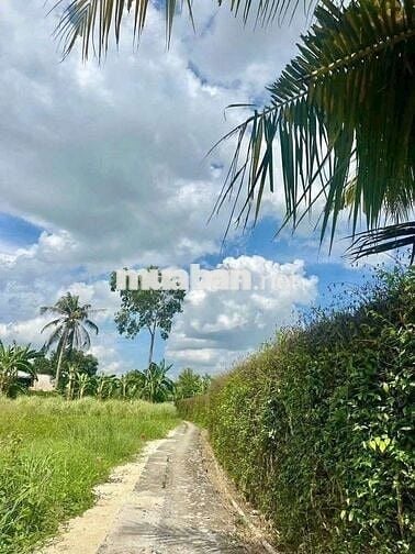 Giảm ngay 100tr còn 570tr/118m2 đất thổ cư.