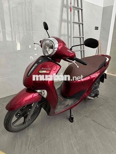 Cần bán xe Yamaha Janus đời 2025, chính chủ