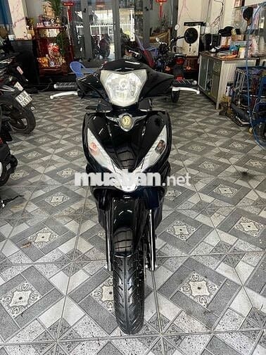 xe SHARK 125 71 H7 8359