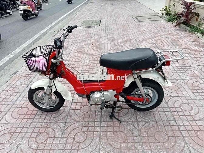 vhaly 80 có đề