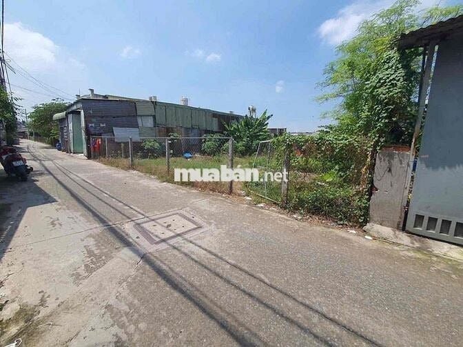 Bán Đất 15*22m hẻm 6m xe tải 1/ ngắn Thới Hoà Vĩnh Lộc A