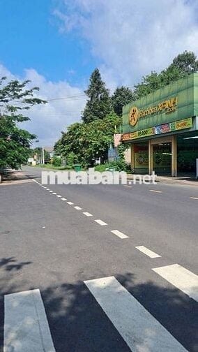 CHỦ NGỘP BÁN LÔ ĐẤT MẶT TIỀN ĐƯỜNG NHỰA VỊ TRÍ VÔ CÙNG ĐẸP