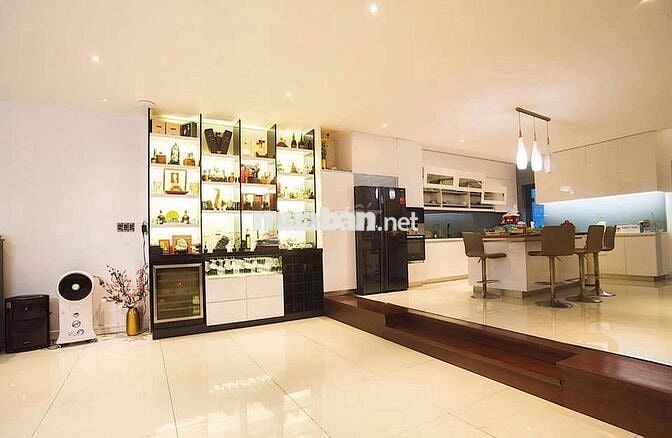 Cho thuê Biệt thự HXH Nơ Trang Long, Bình Thạnh, 176m2 ngang 8m, 32tr