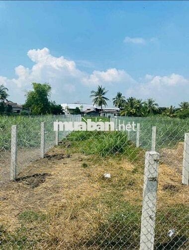 Đất sổ đỏ 188,7m2, Nở hậu, Xã Bình Phú, Huyện Gò Công Tây