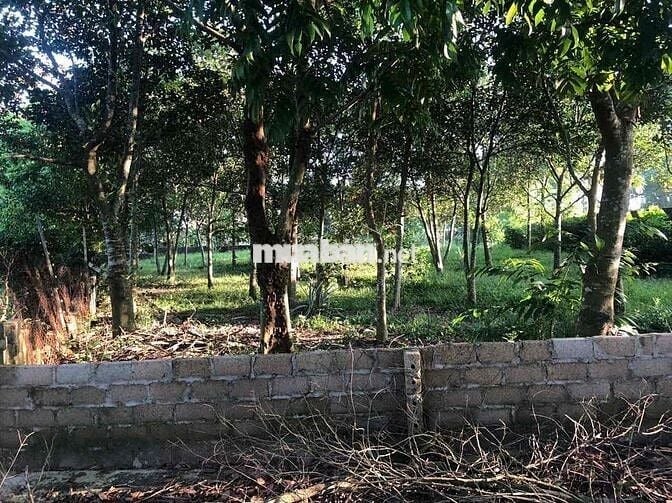 Kẹt Tiền Bán Nhanh 4200m2 Đất Mặt Tiền Kinh Doanh