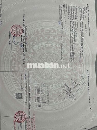 chính chủ bán đất 1/ hà duy phiên bình mỹ