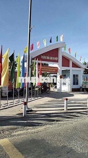 279 TRIỆU CẦN BÁN ĐẤT THỔ CƯ GẤP DO CHUYỂN CÔNG TÁC