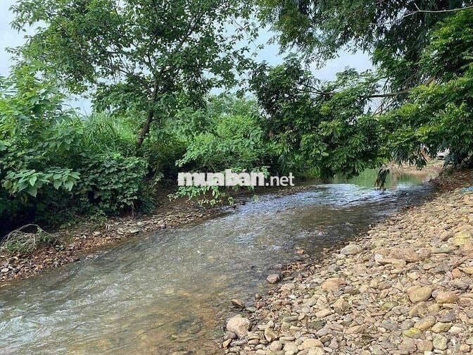 BÁN ĐẤT YÊN BÀI: MẶT ĐƯỜNG NHỰA 8M, BÁM SUỐI