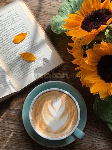 Chăm Sóc Khách Hàng Không yêu cầu Kinh Nghiệm - Ứng tuyển đi làm ngay