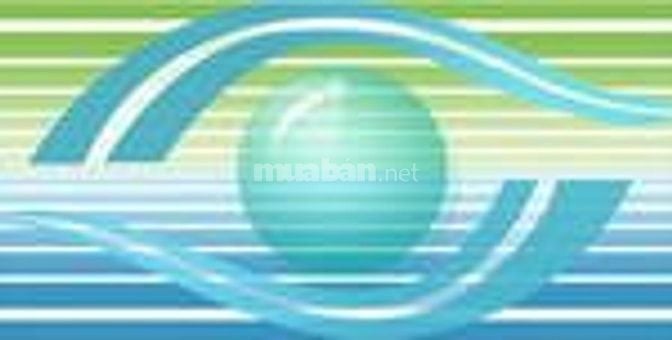 Tuyển Thực tập môi trường tại TP. HCM