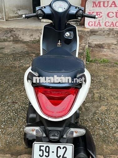 JANUS 2019 Biển thành phố