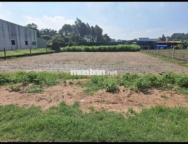 Chủ cần tiền bán gấp lô đất 10x30 ngay trung tâm xã Phước Hiệp, SHR
