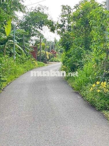 Sổ Riêng Thổ Cư mặt tiền Nhựa 5x33 ngay chân Núi Chứa Chan Xuân Lộc