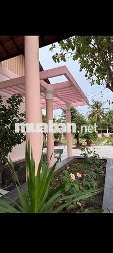 BIỆT THỰ SÂN VƯỜN,DT 30*60M,2PN,3WC,CÓ SÂN BÓNG,ĐƯỜNG NHỰA XE HƠI CHẠY