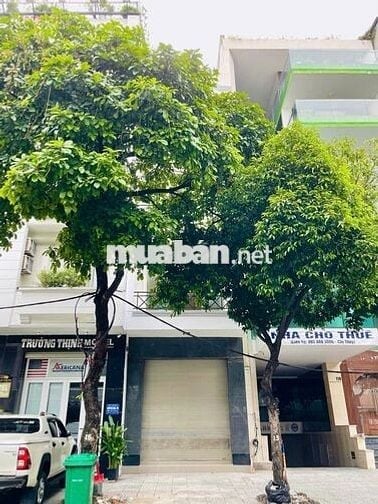 🔥 SIÊU HOT – MẶT TIỀN TRẦN NGUYÊN ĐÁN – NHIỀU LÝ TƯỞNG KINH DOANH  🔥