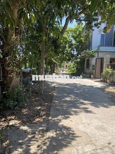 18 Tỷ, đất Thạch Bàn, Long Biên, HN. 81m2, mặt tiền 6m đẹp