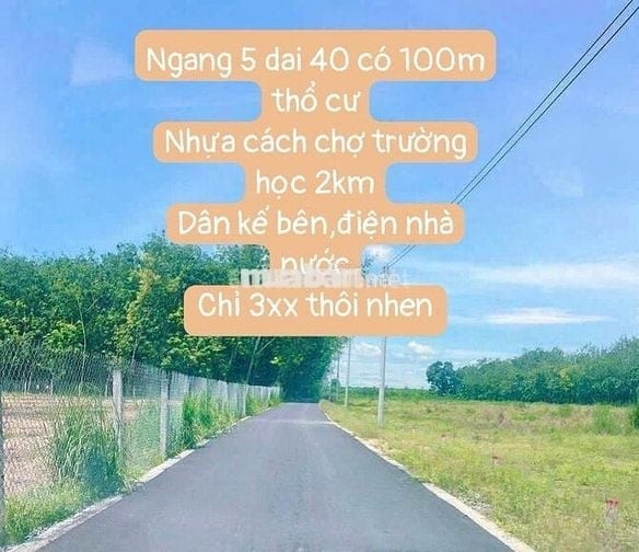 Cần bán đất dầu tiếng TP HCM mặt tiền nhựa trung tam dt 5 x 40 (100tc)