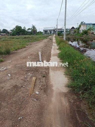 Bán đất 2.996m² chính chủ – An Thới Đông, Cần Giờ