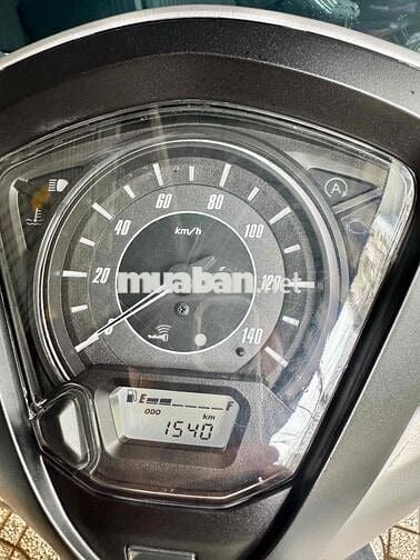 xe Lead 2024