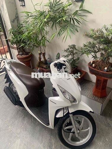 Vision 2018 zin nguyên bản !