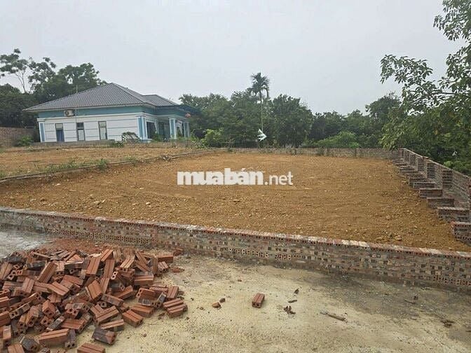 Chính chủ bán đất Bằng Tạ, Cẩm Lĩnh, Ba Vì
